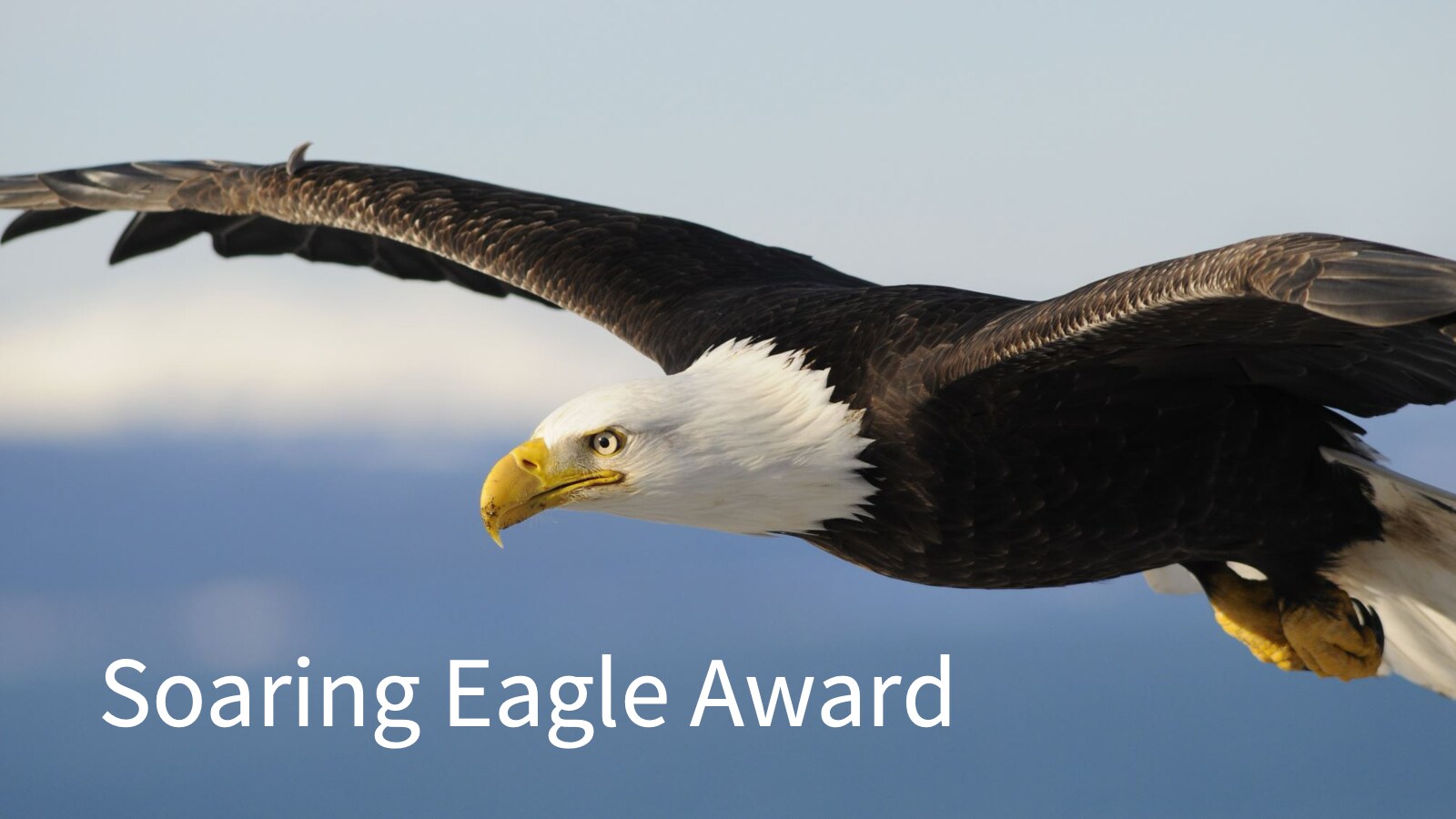 Soaring Eagle Award