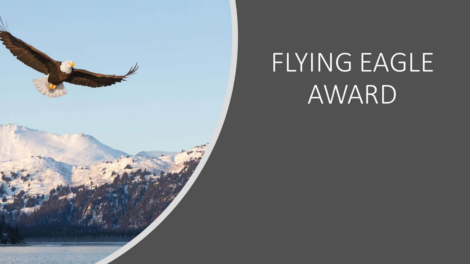 Flying Eagle Award