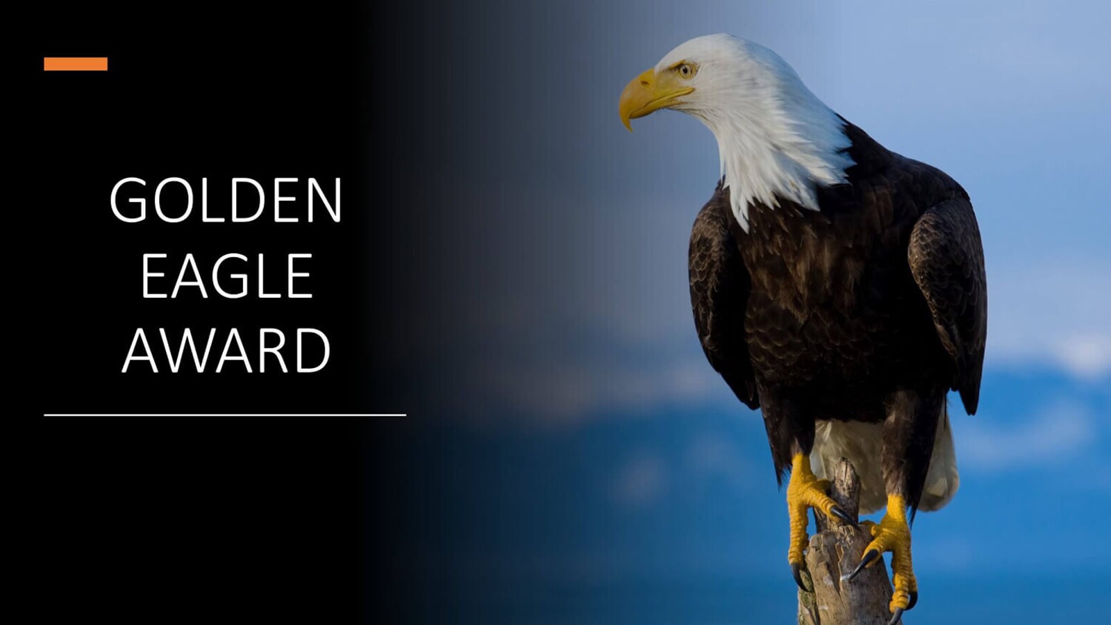 Golden Eagle Award